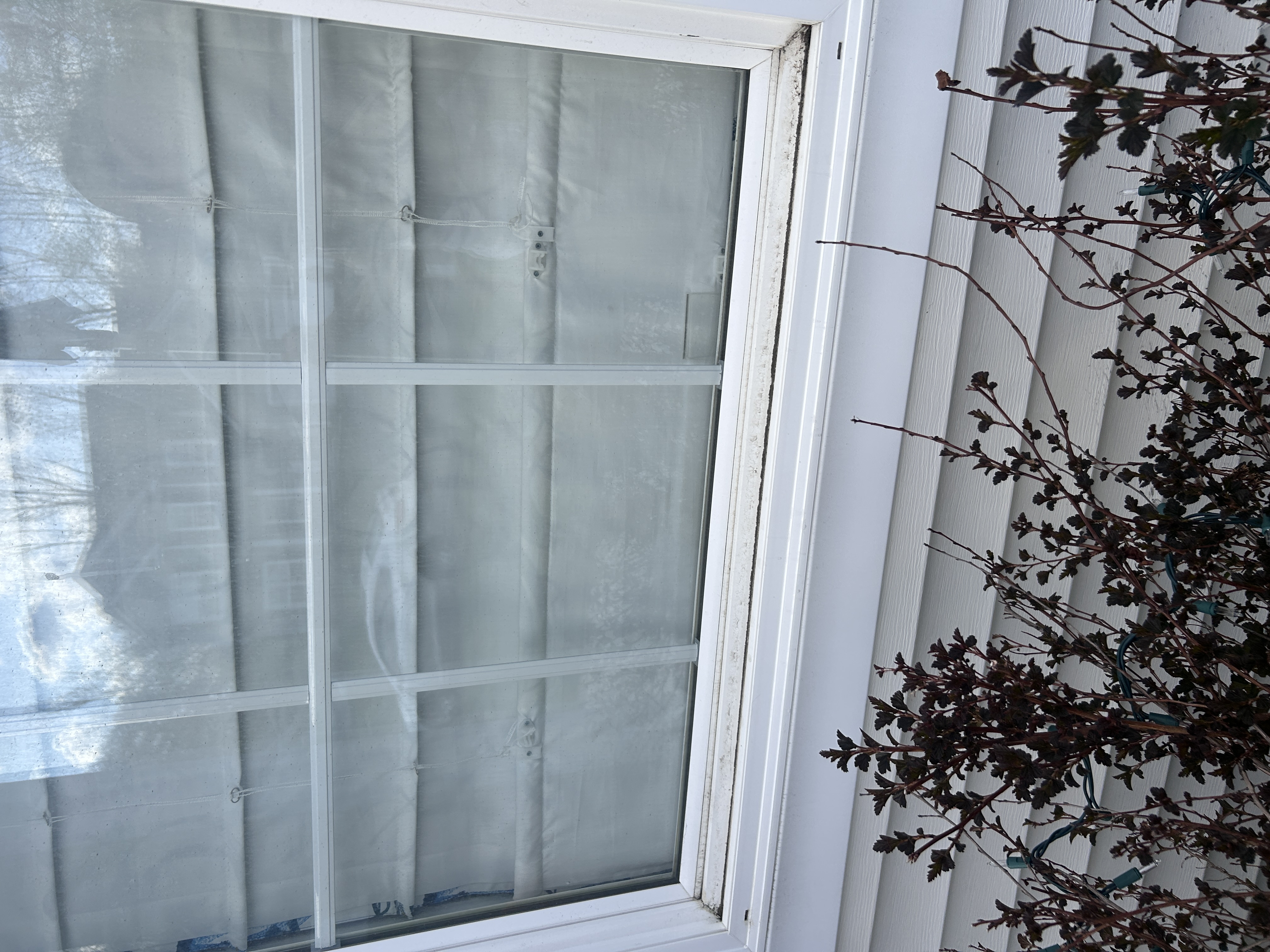 Exterior window cleaning service